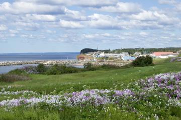 Gaspé