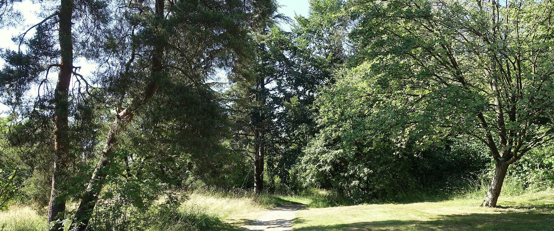 Queen Elizabeth Park