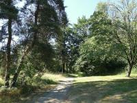 Queen Elizabeth Park
