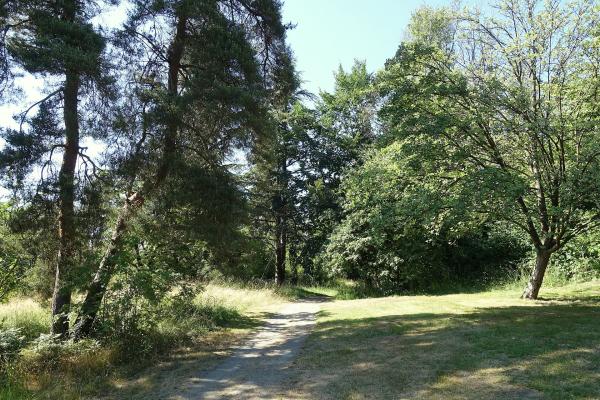 Queen Elizabeth Park