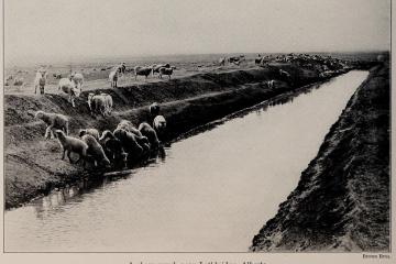 Lethbridge