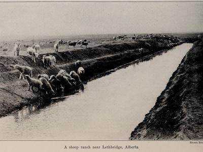 Lethbridge