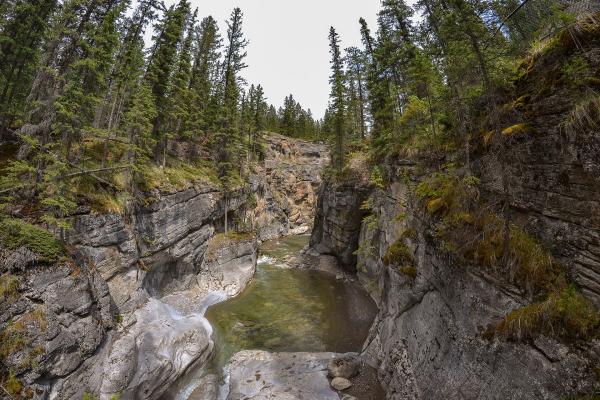 Maligne Canyon