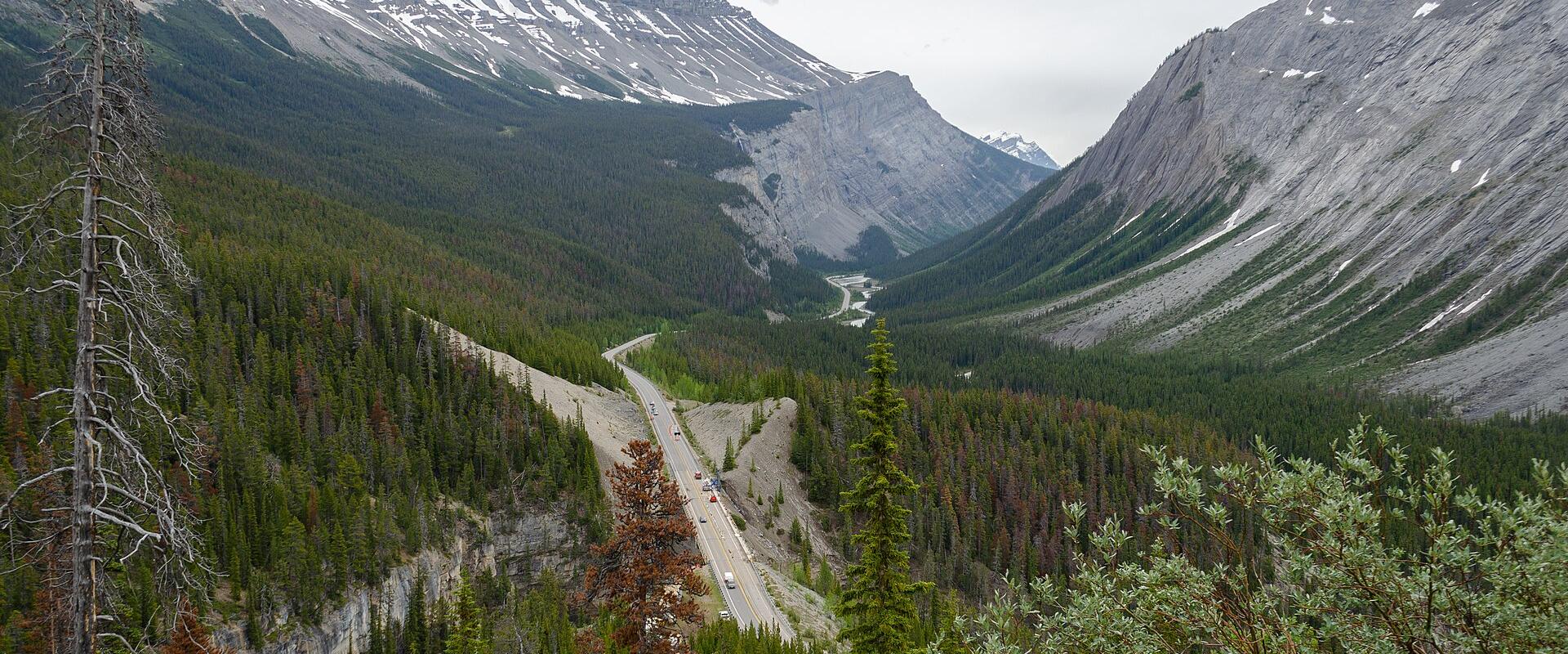 Driving the Icefields Parkway