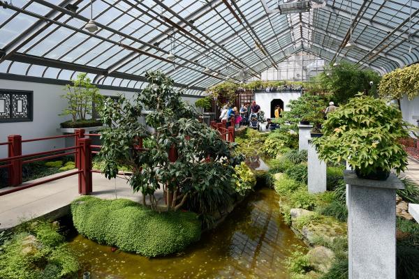 Montreal Botanical Garden